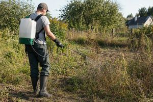 Підготовка ділянки під газон: як позбутися бур&rsquo;янів і вирівняти ґрунт фото
