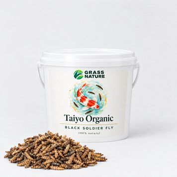 Лакомство для кои: личинки львинки Taiyo Organic &ndash; фото