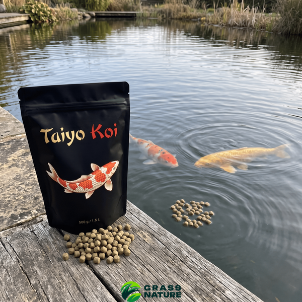 Корм для коропів кої taiyo koi  2018 фото
