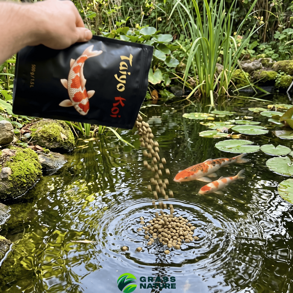 Корм для коропів кої taiyo koi  2018 фото