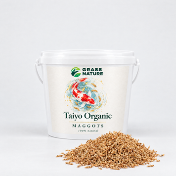 Лакомство для кои: сушёный опарыш Taiyo Organic &ndash; фото