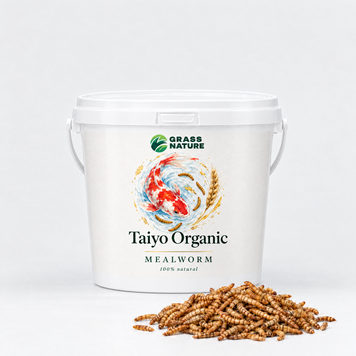 Лакомство для кои: мучной червь Taiyo Organic &ndash; фото