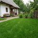 Тіньова газонна трава 2кг 1011 фото 3
